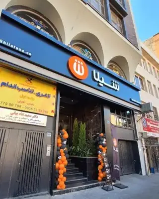 فست فود شیلا (شعبه تلفتخانه)