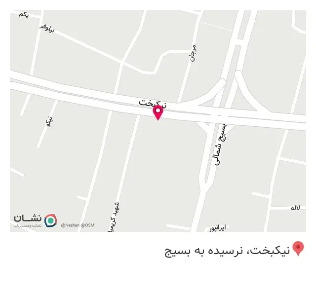پیتزا برنسی