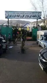 بازار گل و گیاه غرب تهران فاز باغچه ای