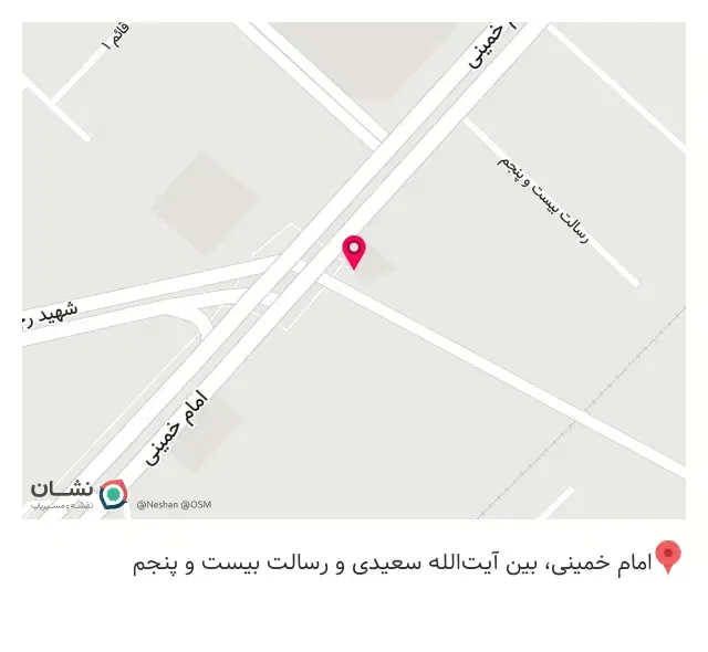پیتزا ساندویچ شقایق