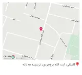 فستفود نادری