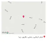 کامپیوتر دیپلمات