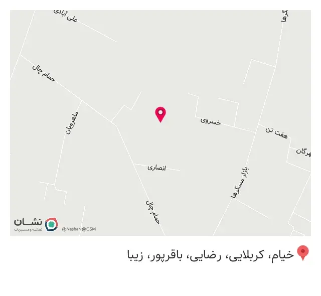 کامپیوتر دیپلمات