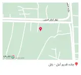 پیتزا شالیز