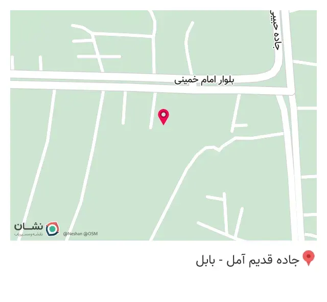 پیتزا شالیز