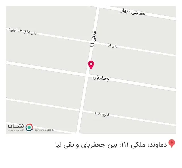 فروشگاه بسطامی