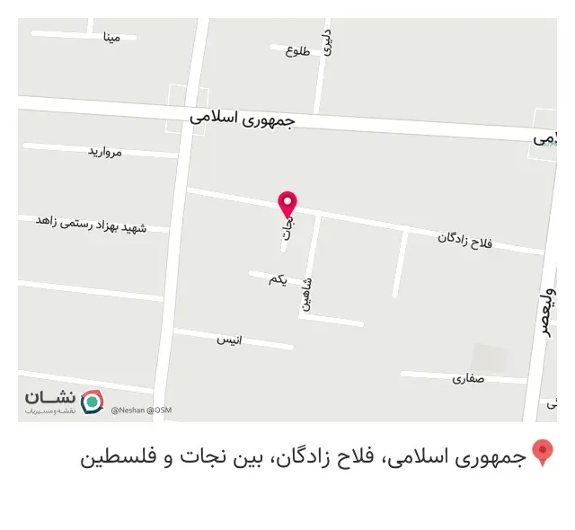 پوشاک زنانه بهدیس