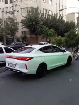 شیشه دودی تخصصی علی
