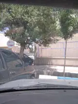 فرامرز عربزاده