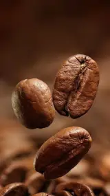 روستری قهوه پاتاوان