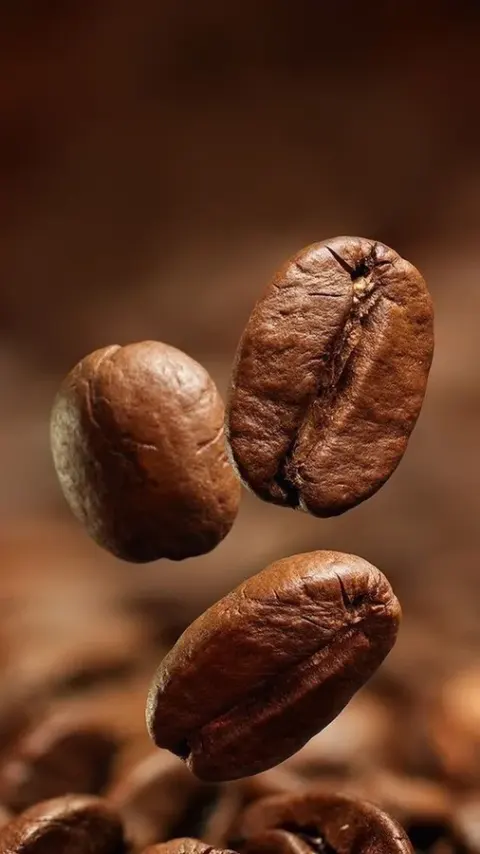 روستری قهوه پاتاوان