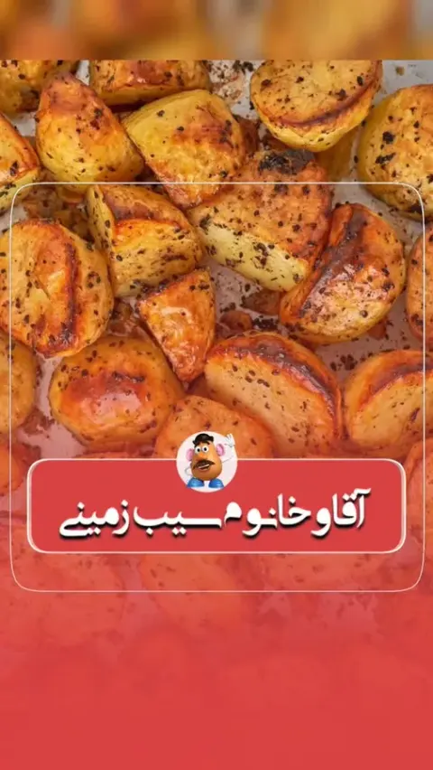 آقا و خانم سیب زمینی(بابل)
