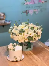 گل پینو