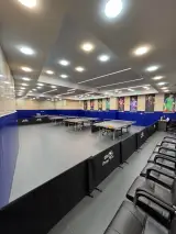 آکادمی پینگ پنگ آرپ