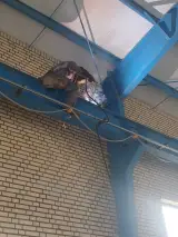 خدمات جوشکاری عسکر شمسی