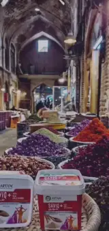 محصولات ناب دل