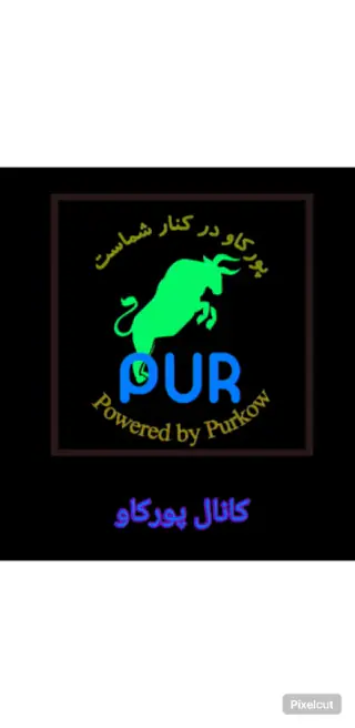 مجموعه خدمات پورکاو