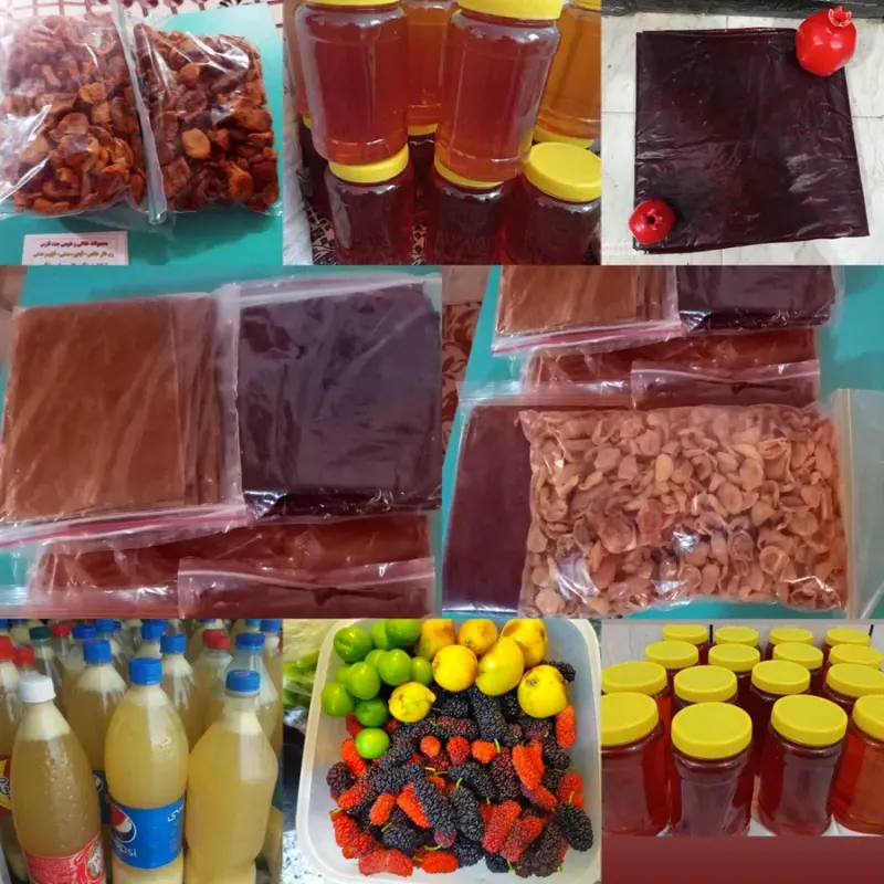 محصولات خانگی جنت فارس