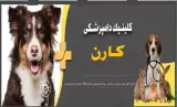 کلینیک تخصصی دامپزشکی کارن