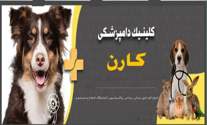 کلینیک تخصصی دامپزشکی کارن