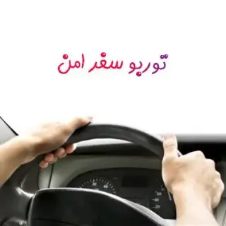 حمل و نقل بین شهری توربو سفر