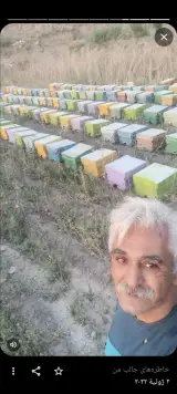 زنبورداری وتولید عسل