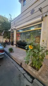 املاک نوین محمدرضا پرنلو