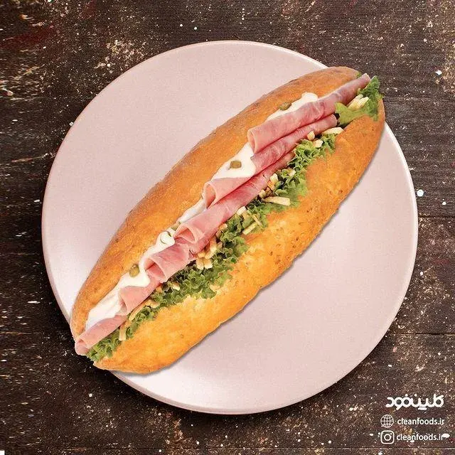 فست فود کلین فود(مترو شهر ری)