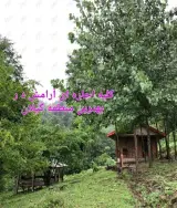 ملک