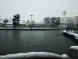 بوستان نرگس