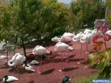 باغ پرندگان قمصر