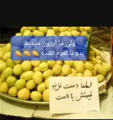 هایپر میوه عموصفر (سرای میوه تهرانپارس)