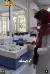 بیمارستان دامپزشکی هلسی پت