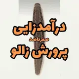 آموزشگاه کشاورزی و طب آتی نگر
