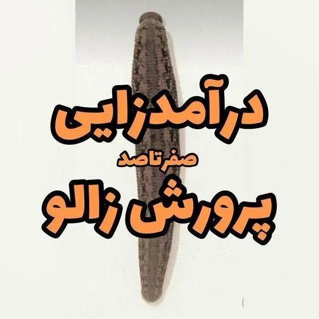 آموزشگاه کشاورزی و طب آتی نگر
