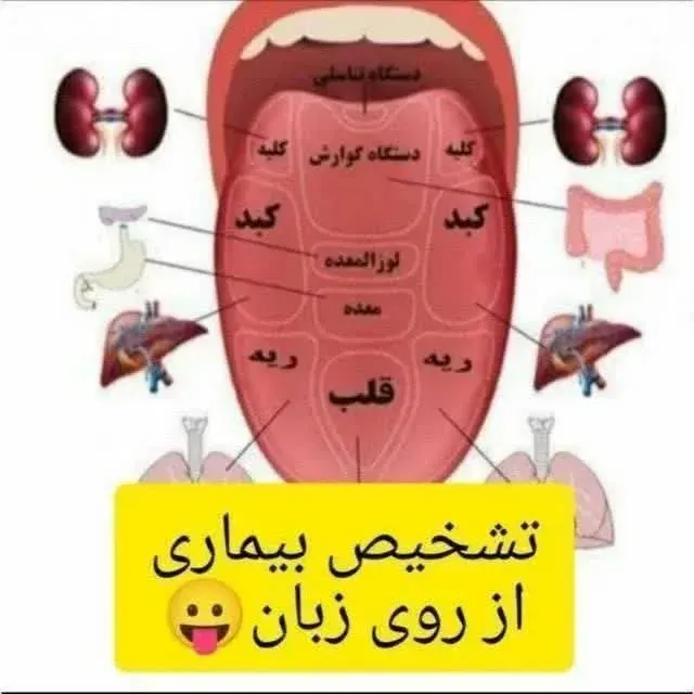زبانشناسی سنوگرافی بدن از زبان میرحسینی