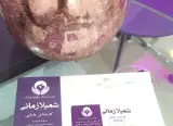 شمیلا زمانی