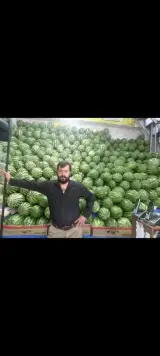 استار میوه خاورمیانه
