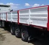 لبه سازی طلای سرخ در قاین خراسان جنوبی