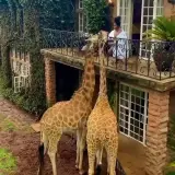 آژانس معراج آسمان آبی