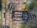 ساتیا وود