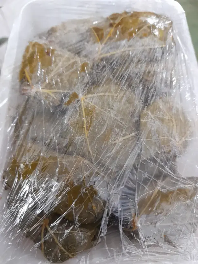 محصولات خانگی هنرطعم ها