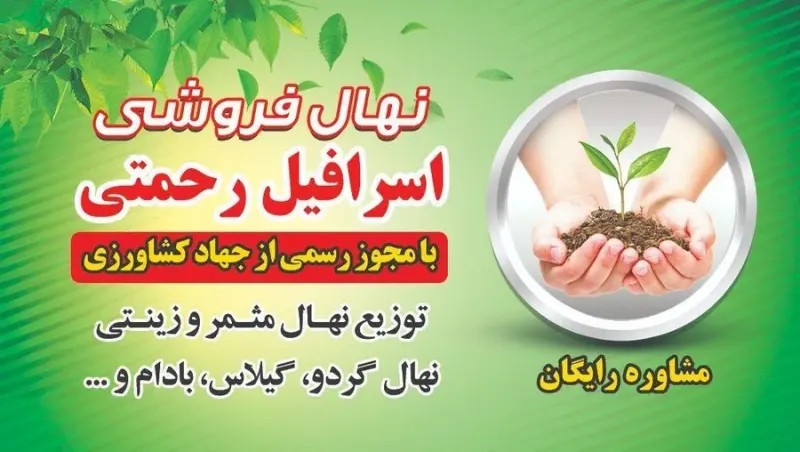 نهال فروشی اسرافیل رحمتی