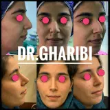 دکتر رضا غریبی