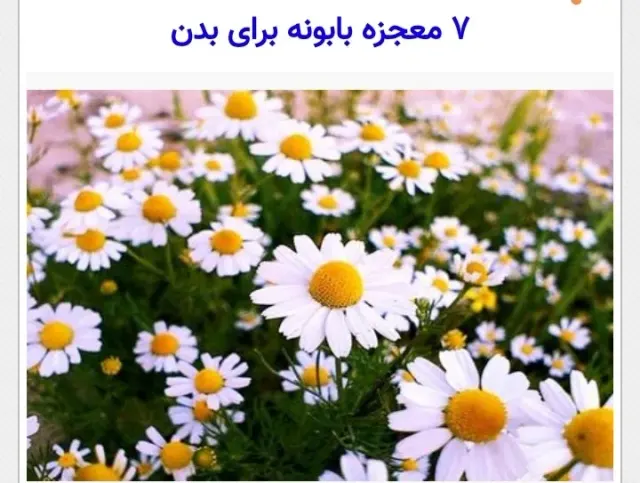 انواع عرقیات گیاهی و دارو گیاهی گل محمدی