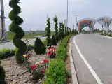 مرکز تجارت برنج ایران
