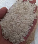 برنج امید