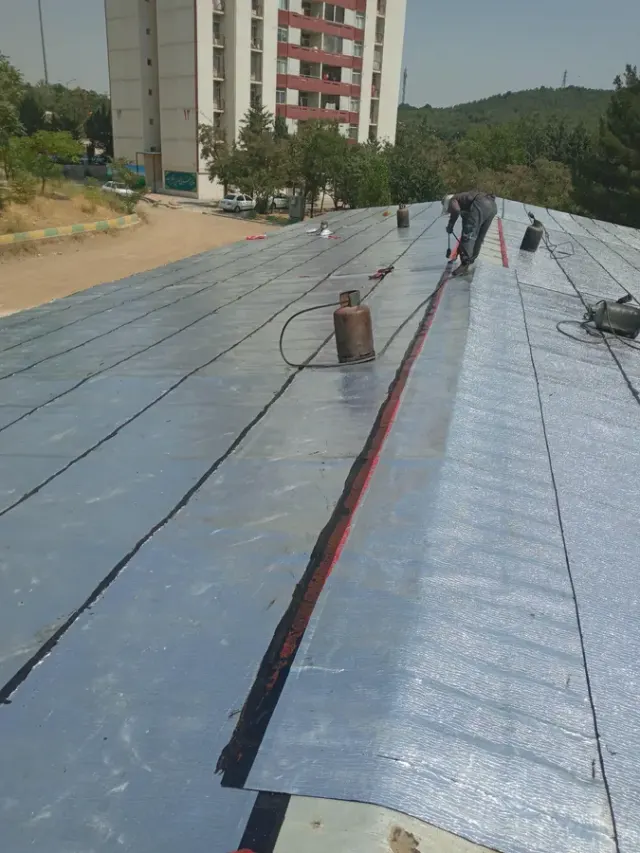 ایزوگام ناصر میلانی