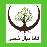 نهالستان شمس در میاندوآب آذربایجان غربی