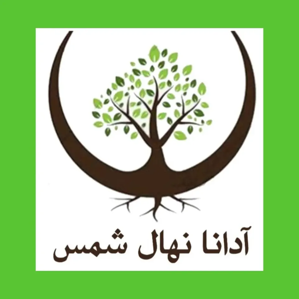 نهالستان شمس در میاندوآب آذربایجان غربی